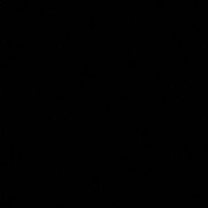 Meet your Posher, Cesar